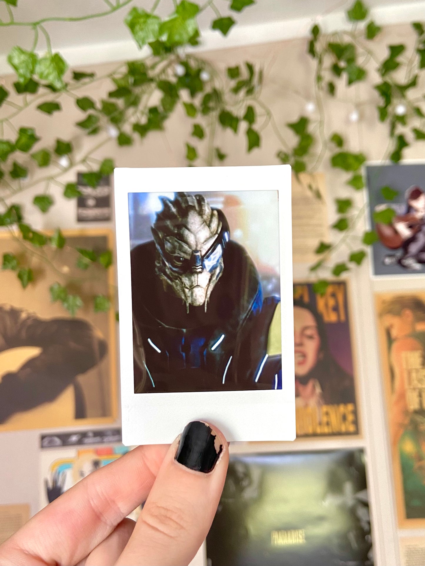 Calibrations Mini Photo