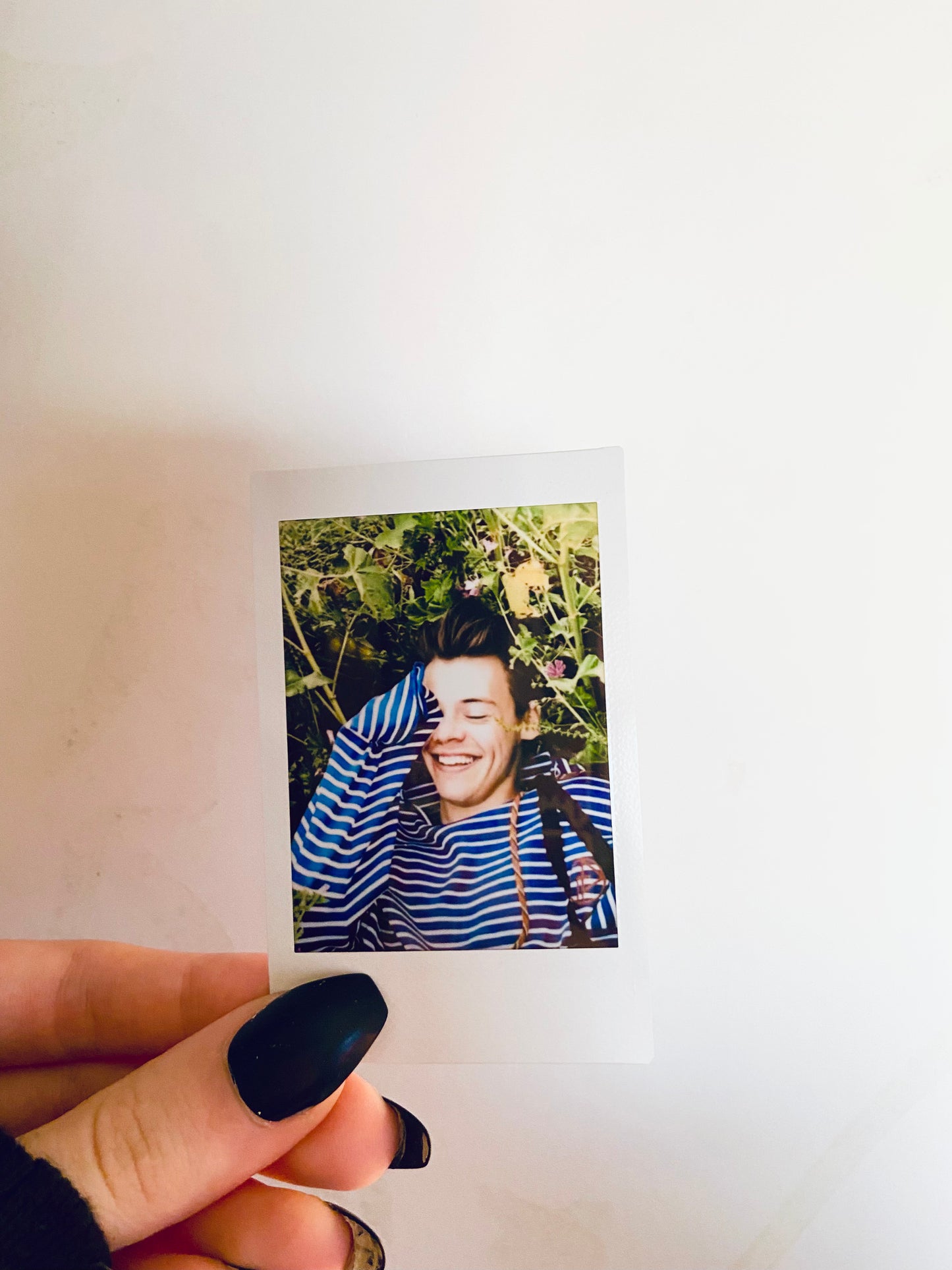 Harry Styles Mini Photo